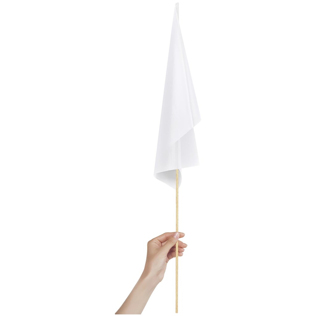 Champion Medium Hand Flag 450mm x 300mm - Image 3