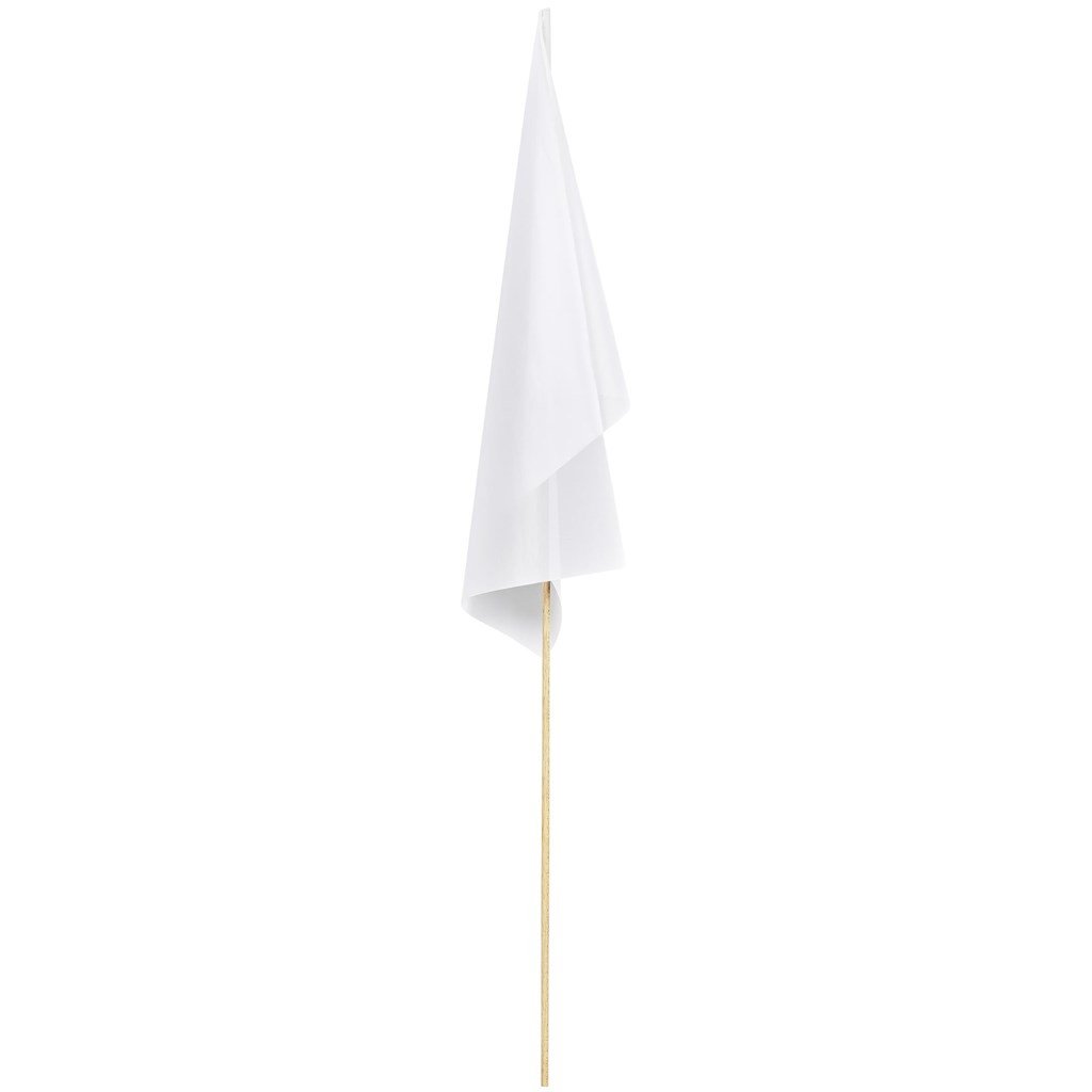 Champion Medium Hand Flag 450mm x 300mm - Image 4