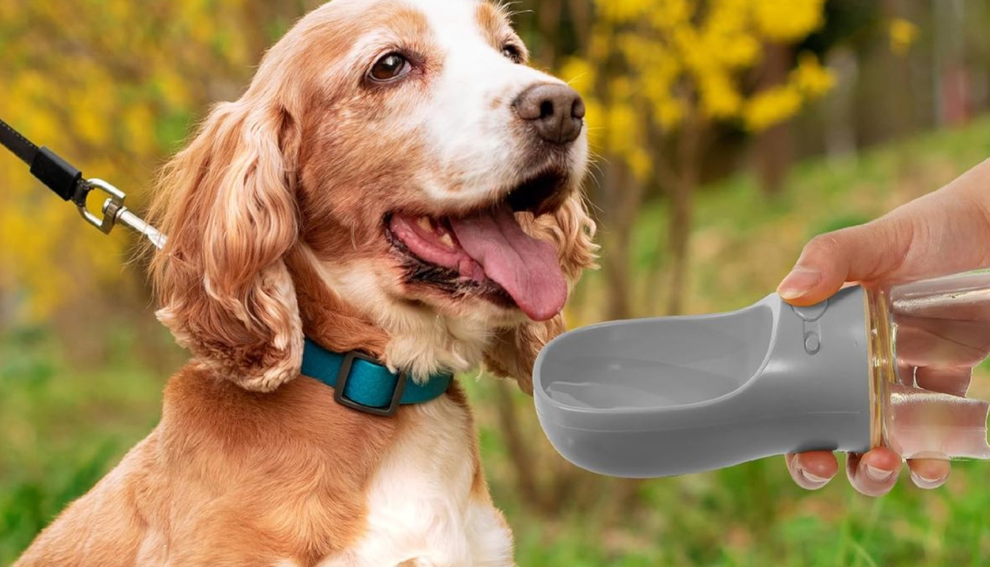 Bebedouro portátil 550 ml